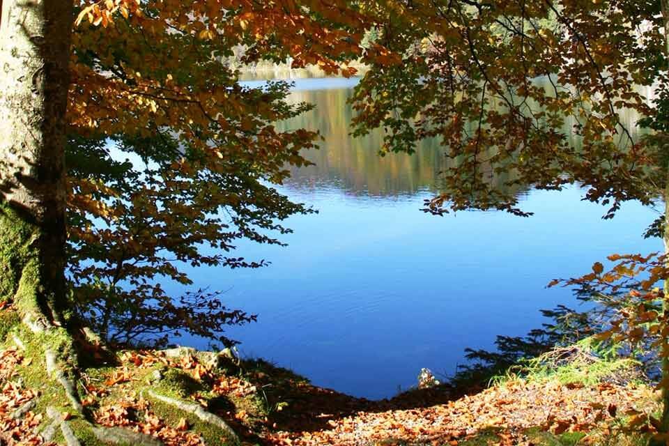 Alpsee im Ostallgäu mit Blick auf Schloss Hohenschwangau