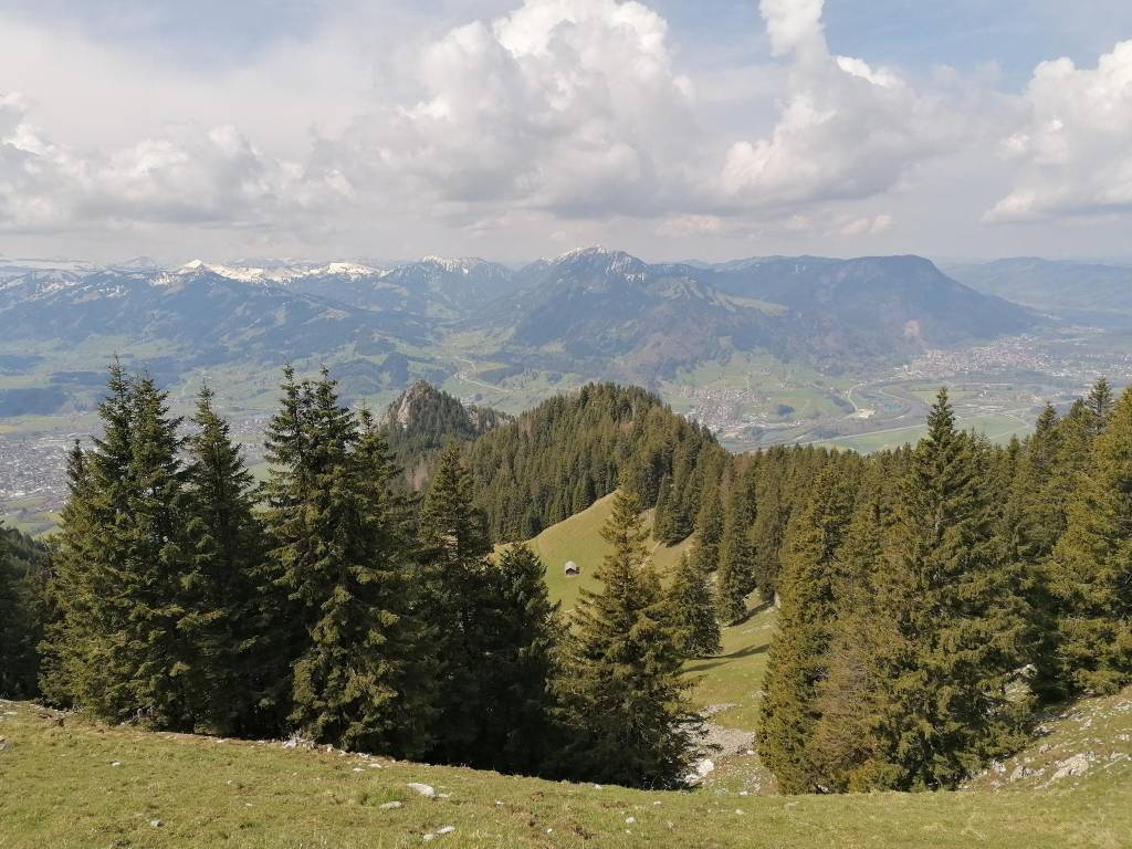 Blick vom Grünten ins Tal