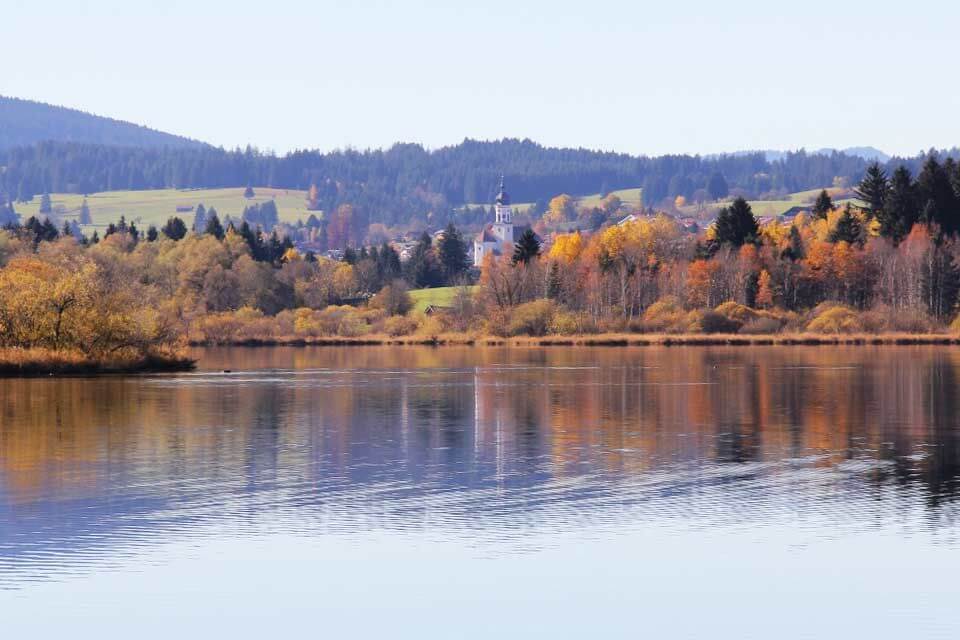 Radweg und Rundwanderweg - Grüntensee