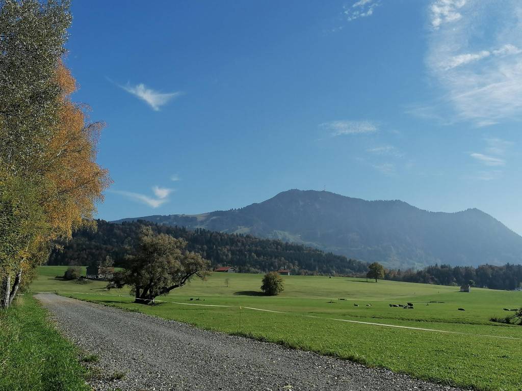 Grüntenblick