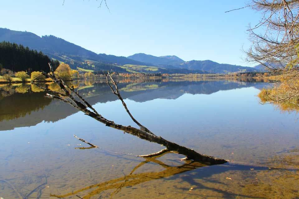 Blick auf den Grünten - Grüntensee