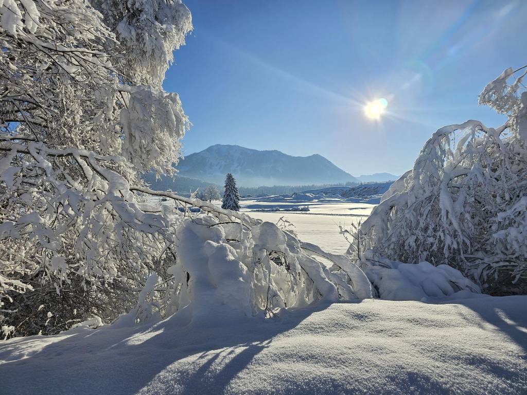 Grüntenblick im Winter