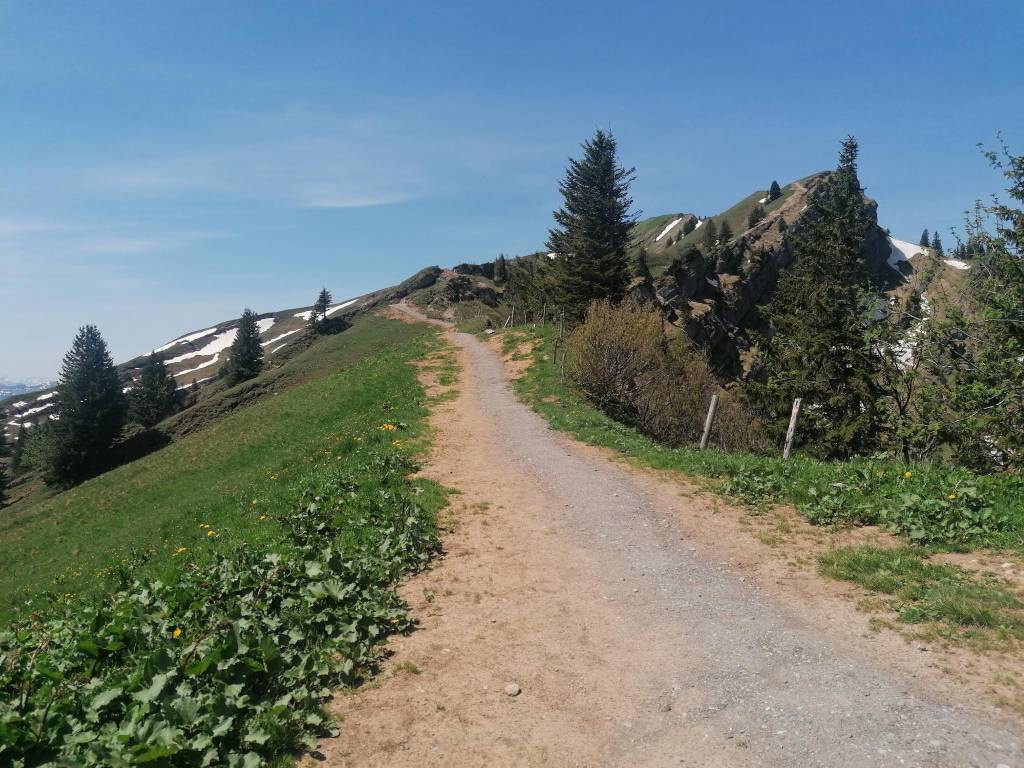 Hochgrat - Blick auf Weg von Brunnenauscharte