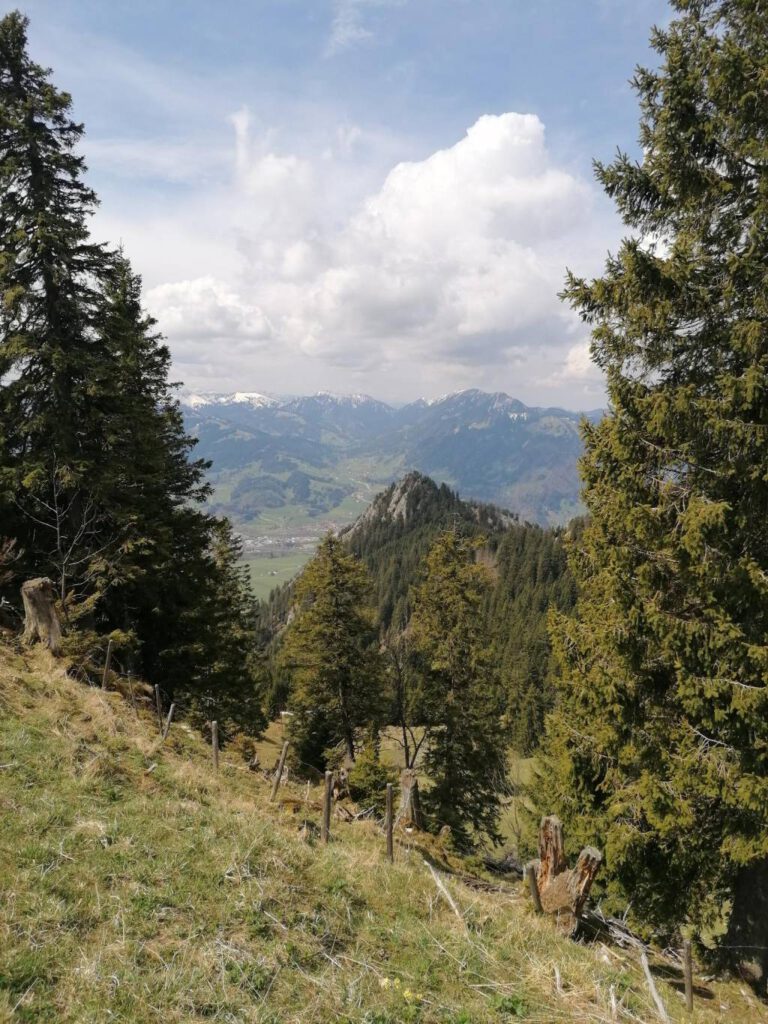 Hochgrat - Blick auf Falkenstein