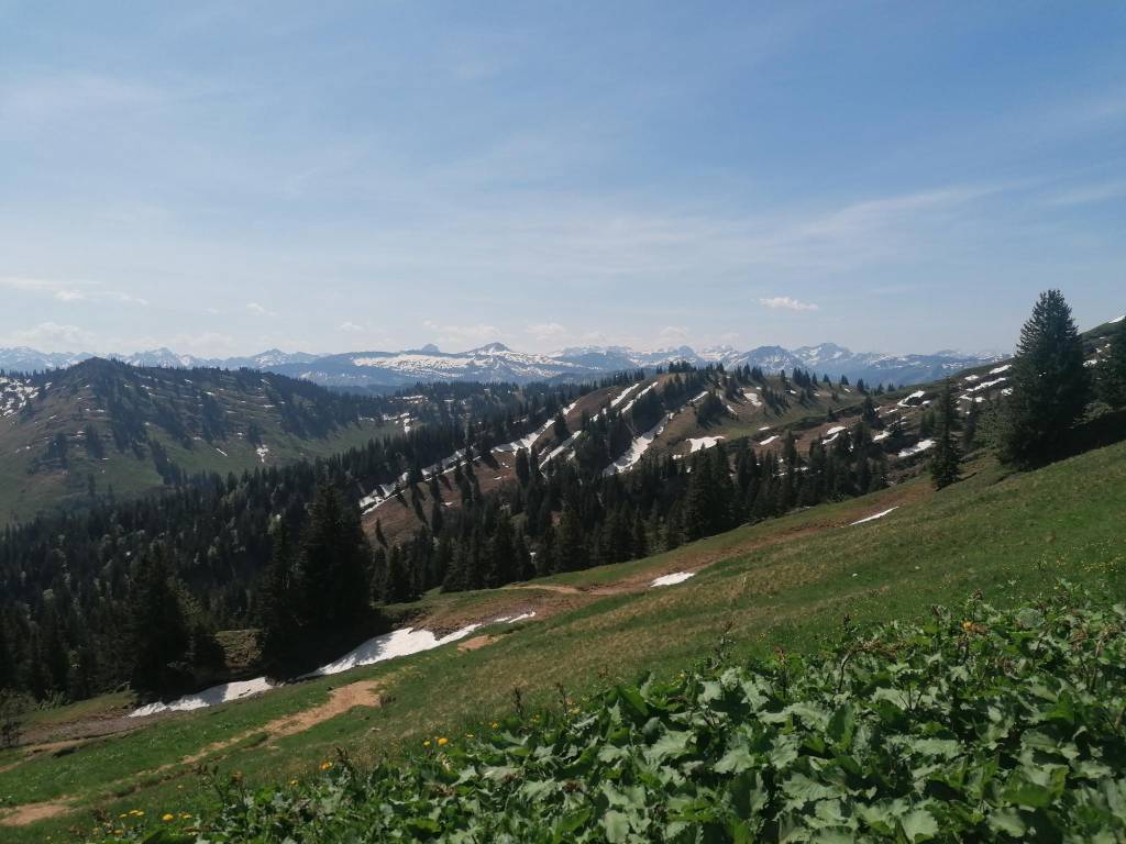 Hochgrat - Blick auf Säntis