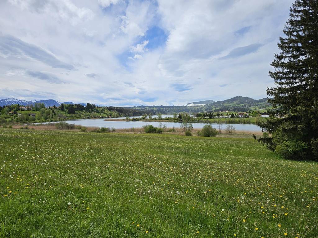 Niedersonthofener See - Blick auf den Campingplatz