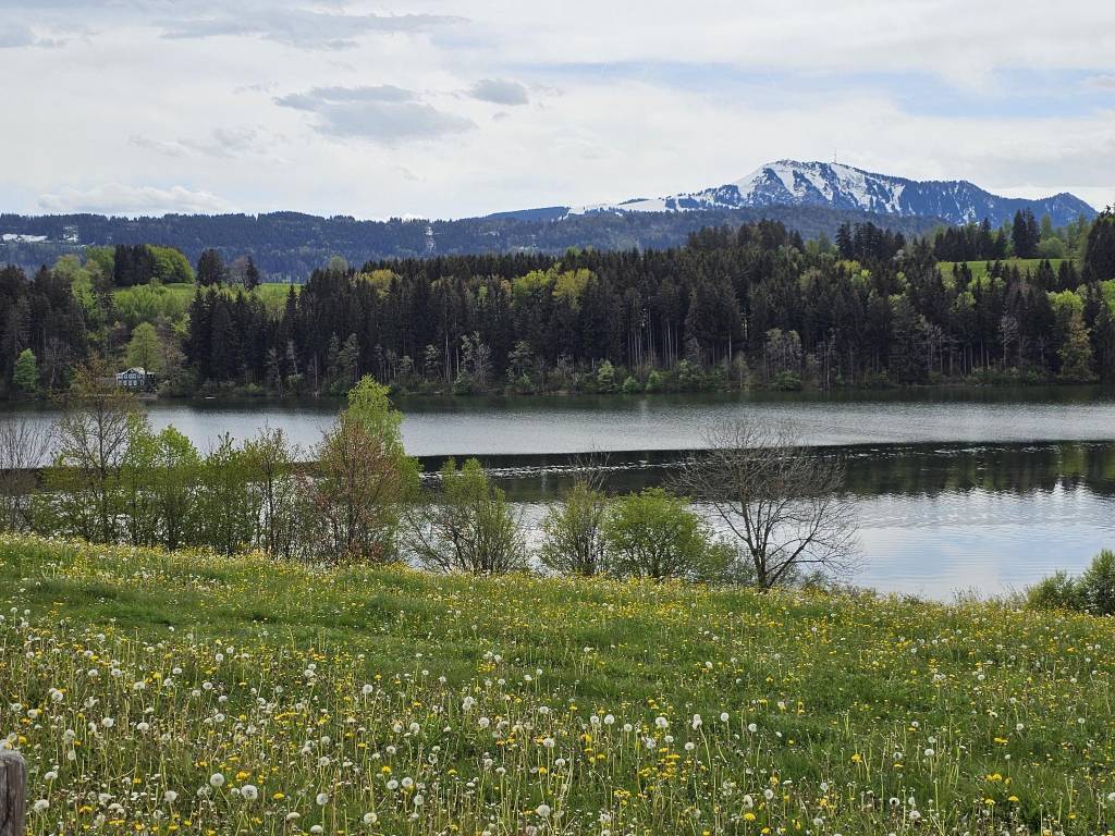 Niedersonthofener See - Blick auf Grünten