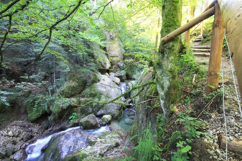 Steigbachtobel am Fuß des Mittagbergs