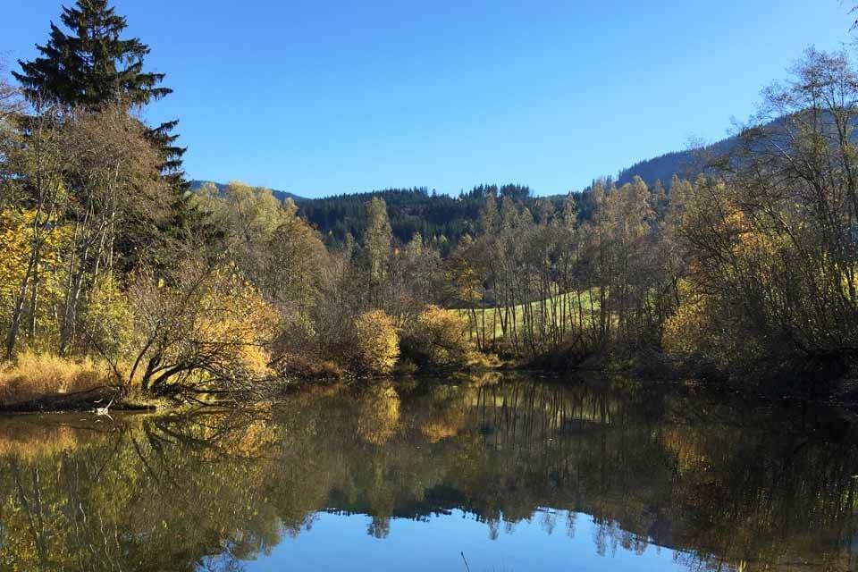 Badesee bei Wertach und Nessewang - Grüntensee